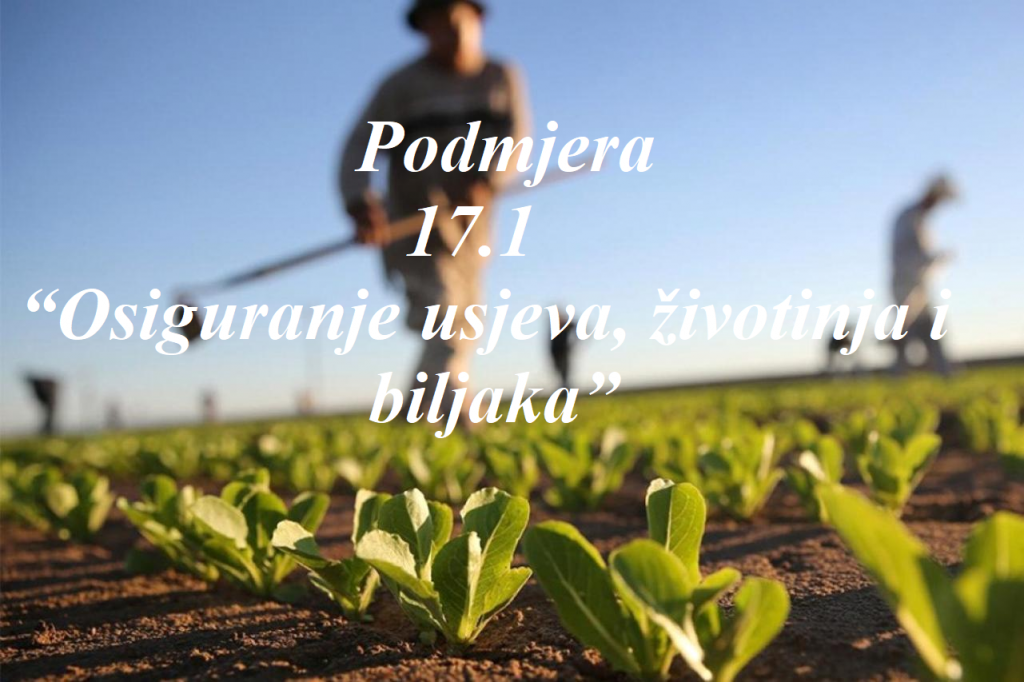 Podmjera 17.1. – 2019.