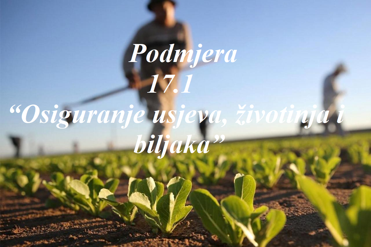 Podmjera 17.1. – 2019.