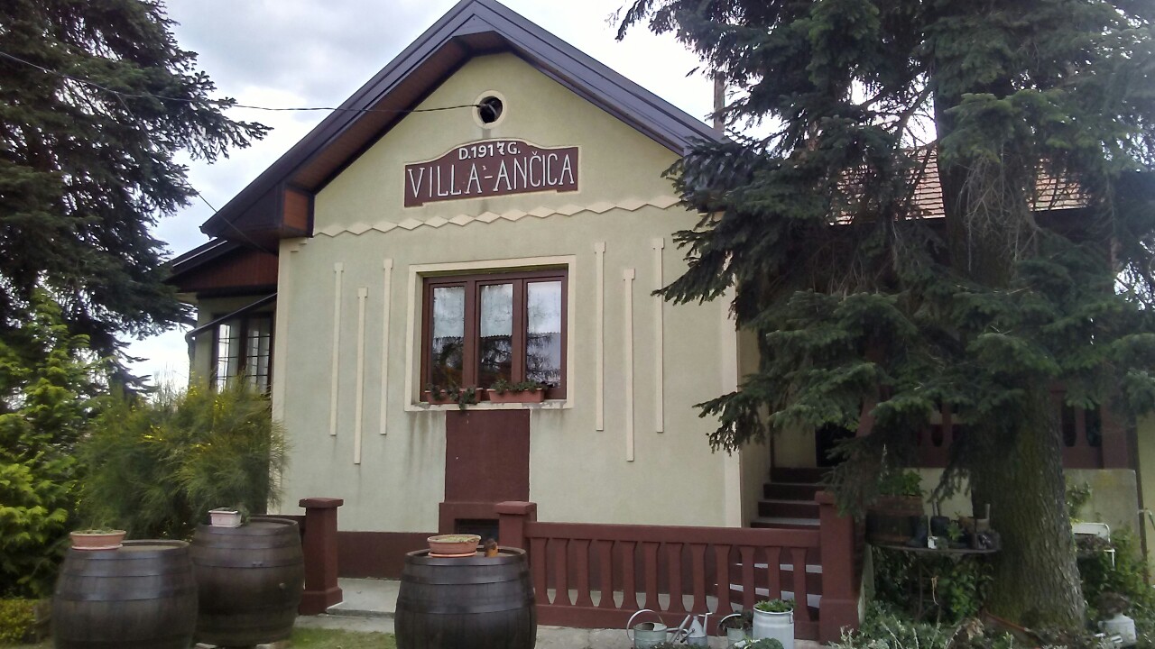 Registrirano vinotočje – OPG Koren Ivan